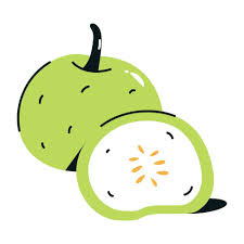 Round gourd